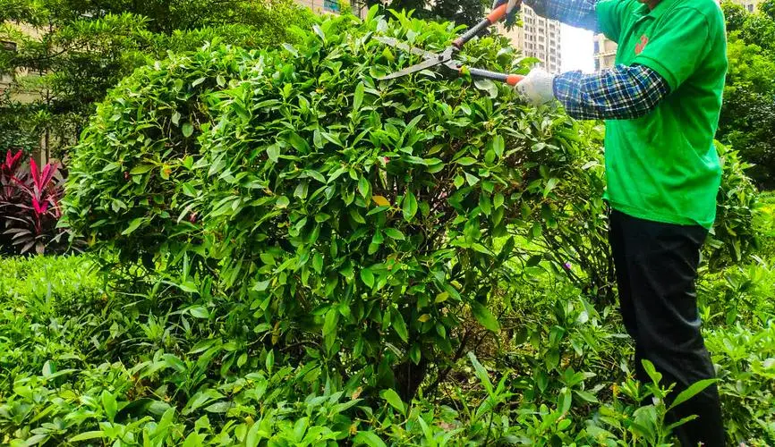 别墅现在园林景观设计