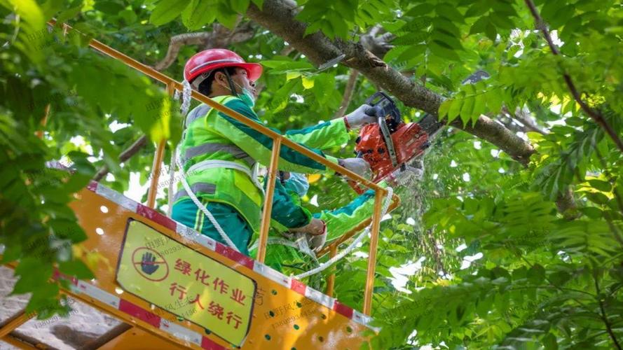 汝州小屯廊道绿化工程